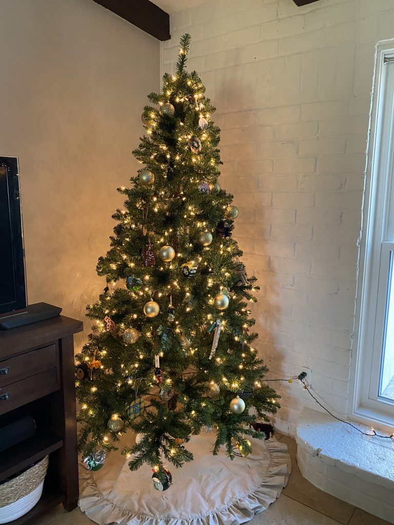 Christmas tree | new house