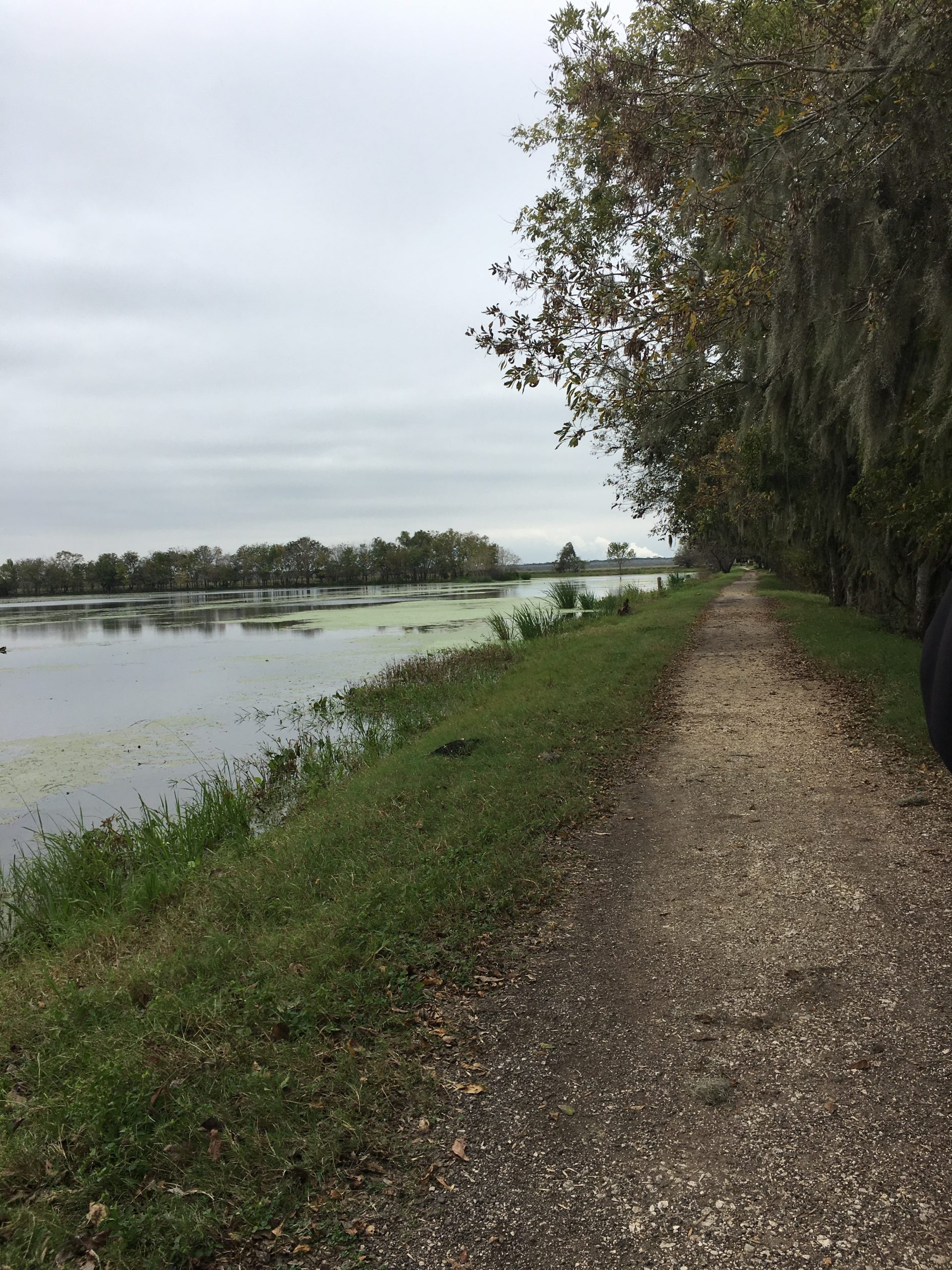 Explore your own backyard Brazos Bend State Park Edition The Simplywed