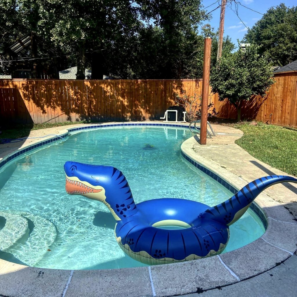 dinosaur pool float