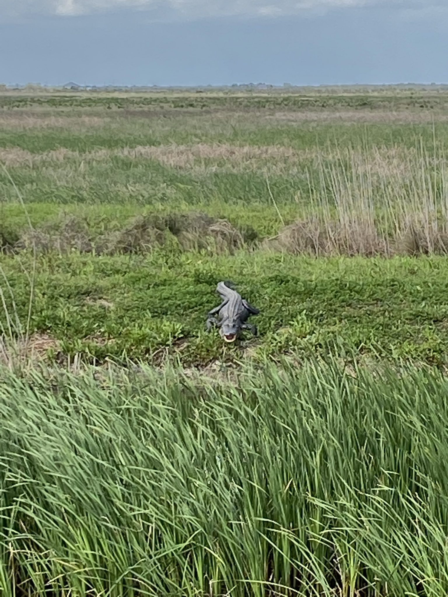 Explore your own backyard Anahuac, Texas The Simplywed