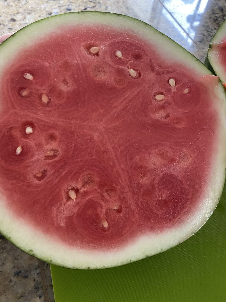 summer watermelon