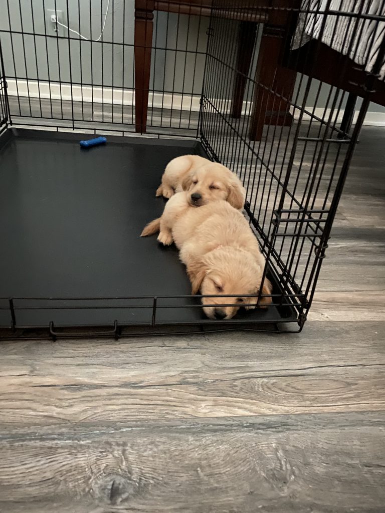 tex and cali | crate training