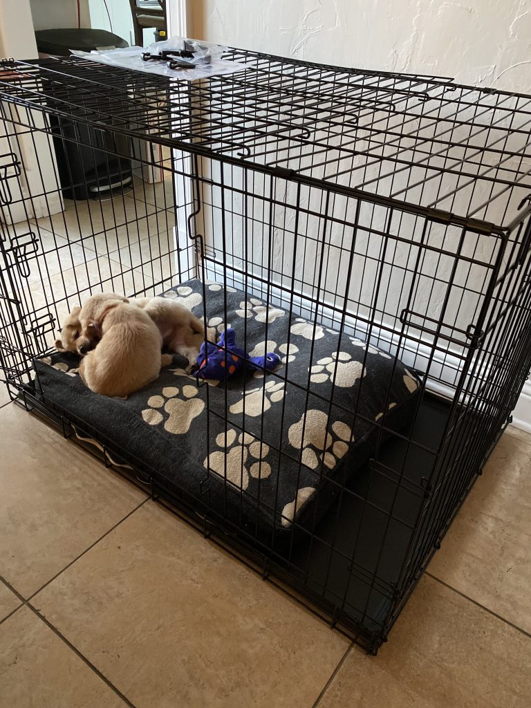 tex and cali | crate training